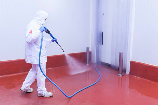 Elsmere, DE Pressure Washing Services Company